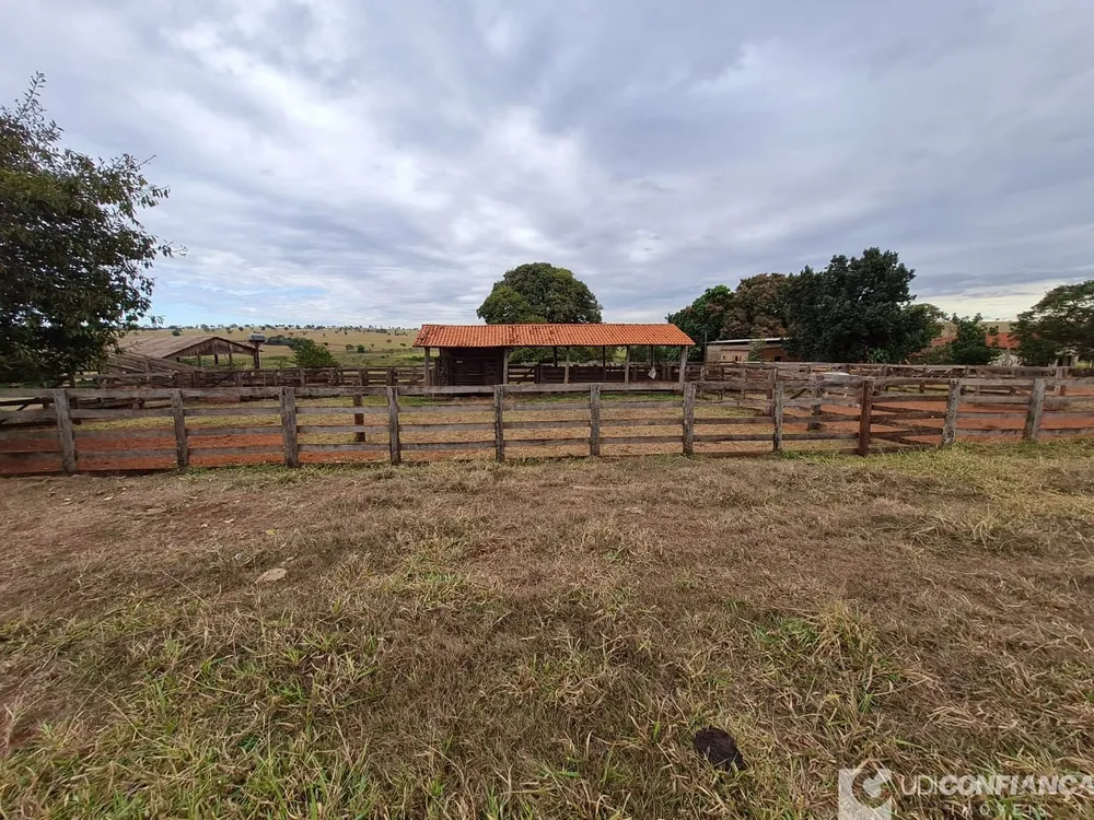 Fazenda - Foto 11