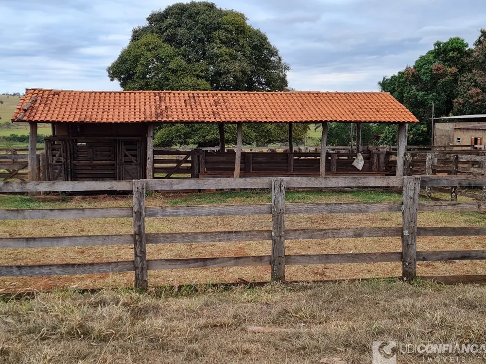 Fazenda - Foto 4