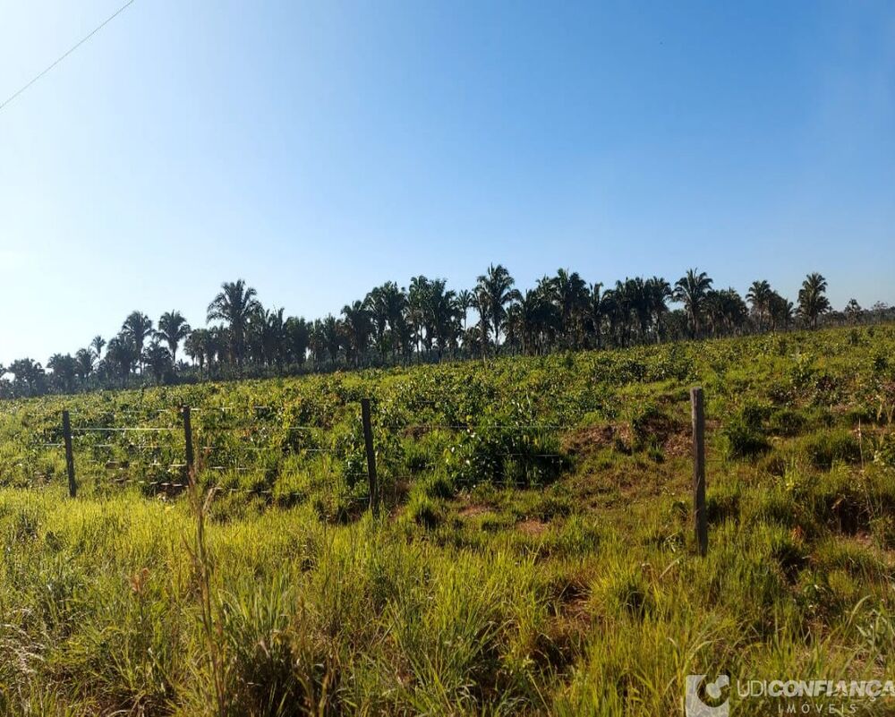 Fazenda - Foto 1