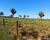 Fazenda - Foto 4