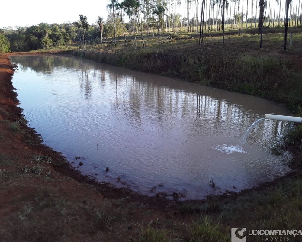 Fazenda - Foto 8