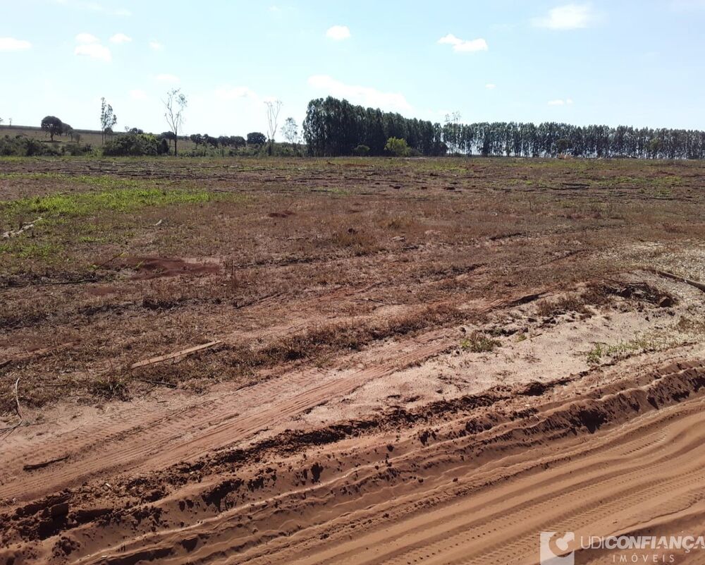 Fazenda - Foto 5