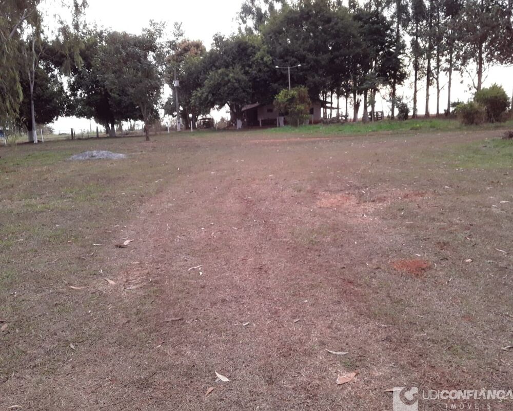 Fazenda - Foto 4