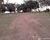 Fazenda-Sítio-Chácara - Foto 4