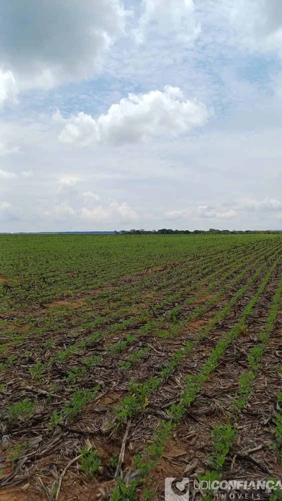 Fazenda - Foto 6