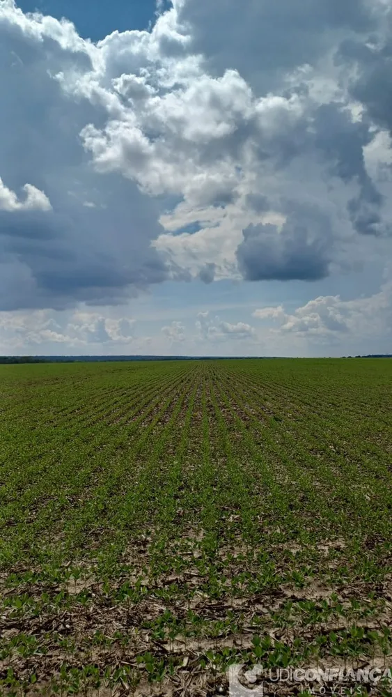 Fazenda - Foto 1