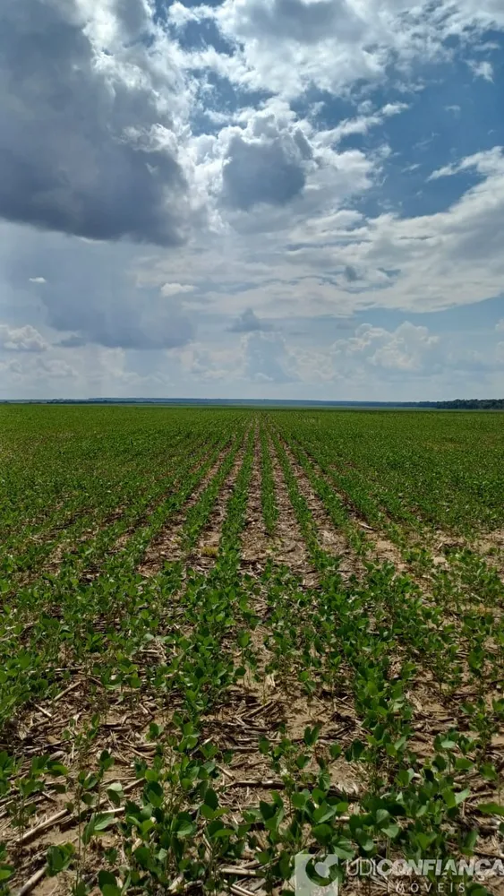 Fazenda - Foto 10