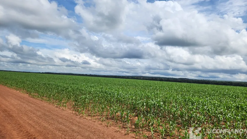 Fazenda - Foto 1