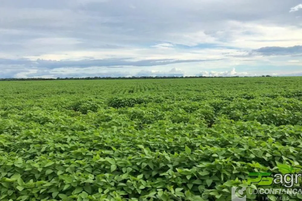 Fazenda - Foto 3