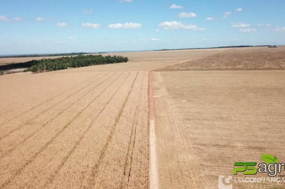 Fazenda - Foto 2