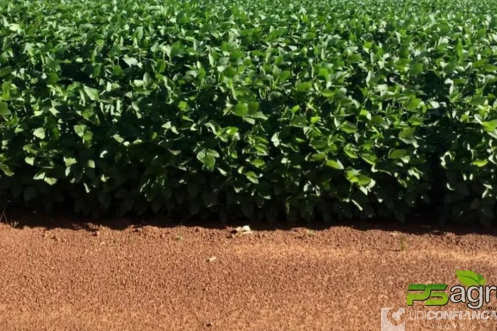 Fazenda - Foto 1