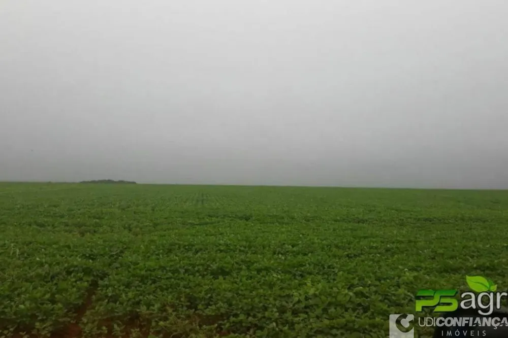 Fazenda - Foto 7