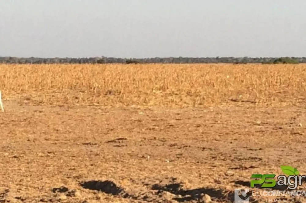 Fazenda - Foto 6