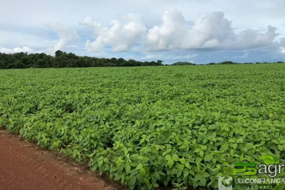 Fazenda - Foto 1