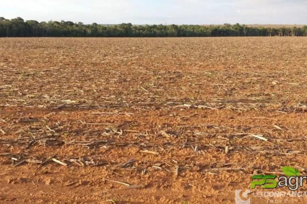 Fazenda - Foto 8