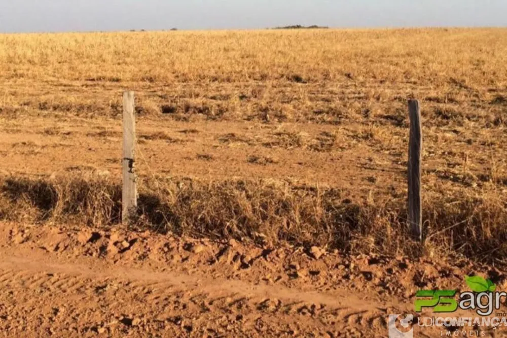 Fazenda - Foto 2