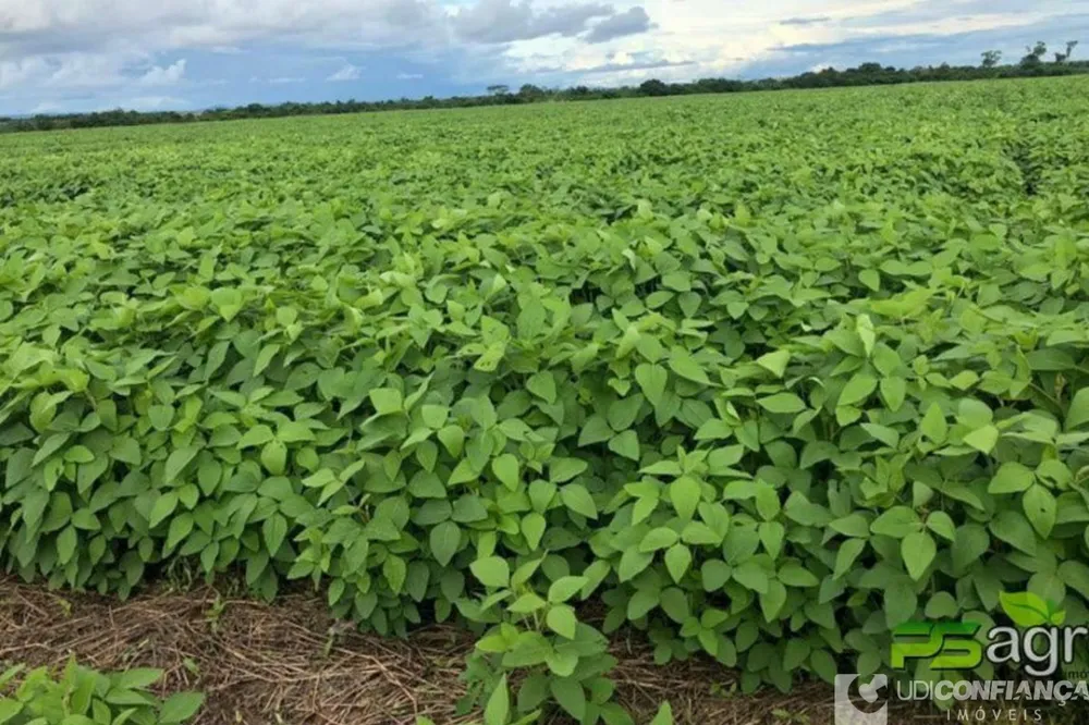 Fazenda - Foto 3