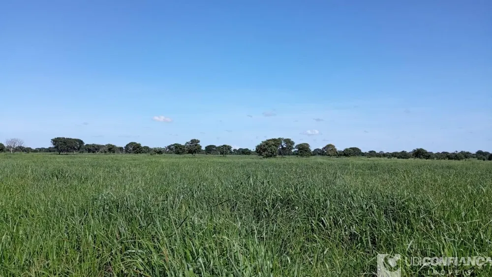 Fazenda - Foto 2