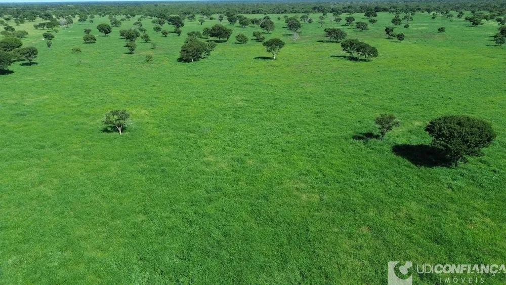 Fazenda - Foto 6