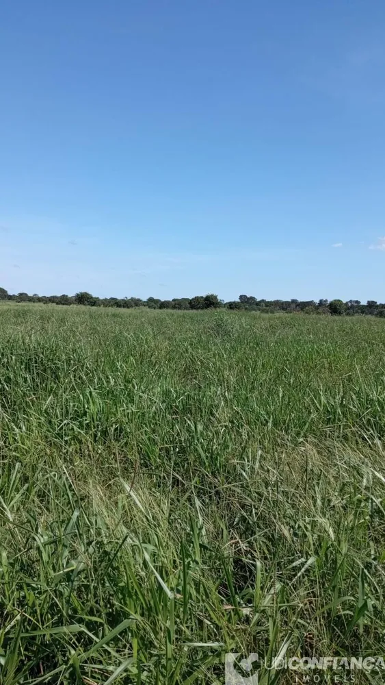 Fazenda - Foto 1