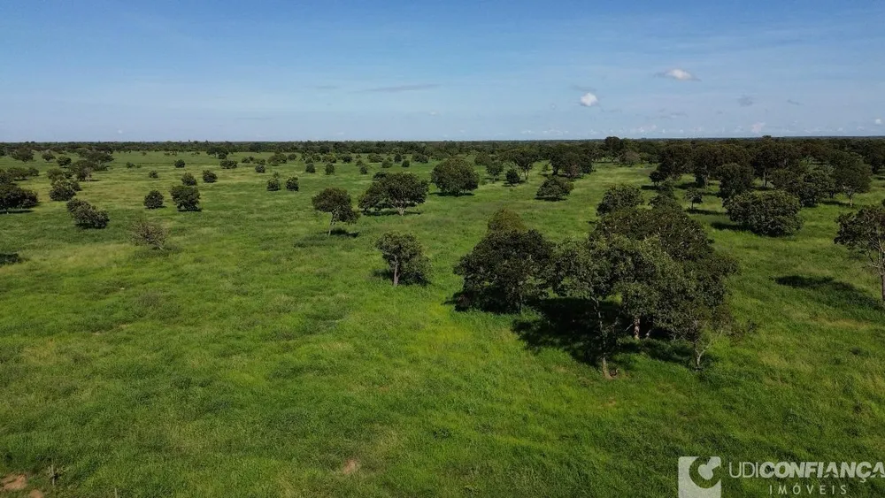Fazenda - Foto 4