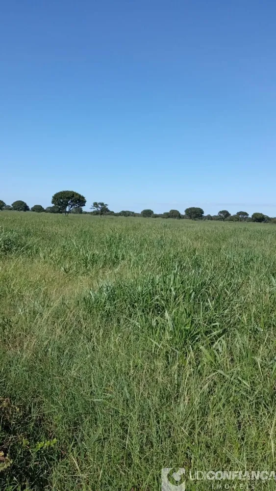 Fazenda - Foto 12