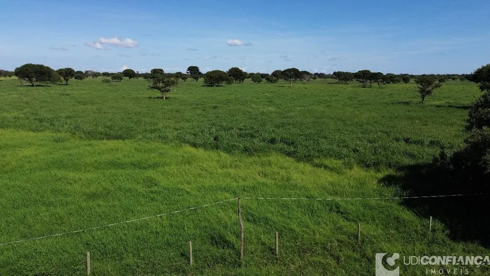 Fazenda - Foto 5