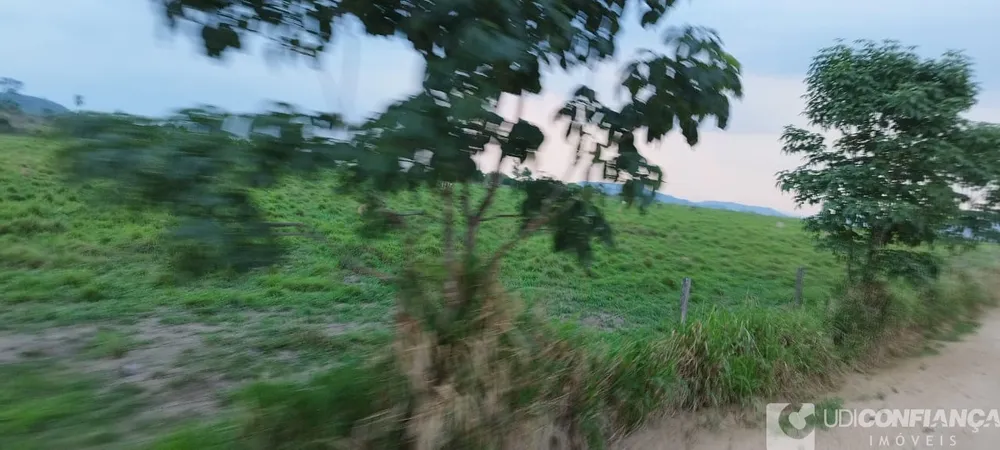Fazenda - Foto 3