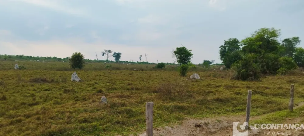 Fazenda - Foto 6