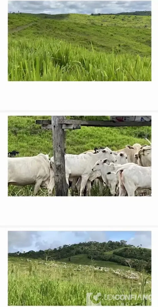 Fazenda - Foto 2