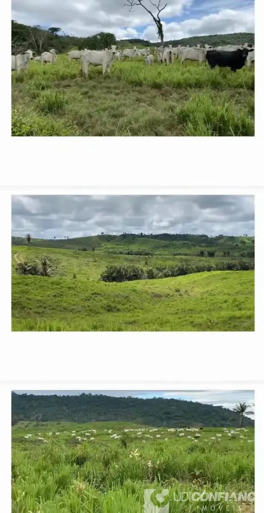 Fazenda - Foto 1