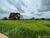 Fazenda - Foto 4