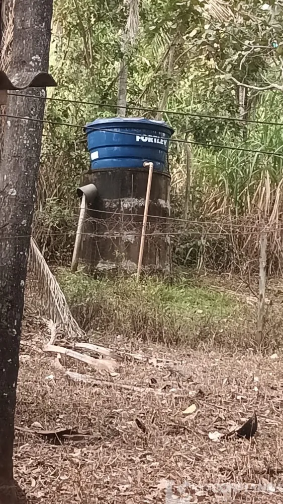Fazenda - Foto 3
