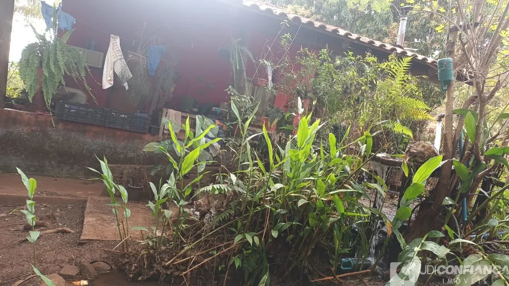 Fazenda - Foto 1