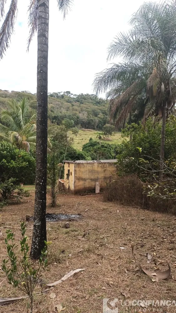 Fazenda - Foto 4