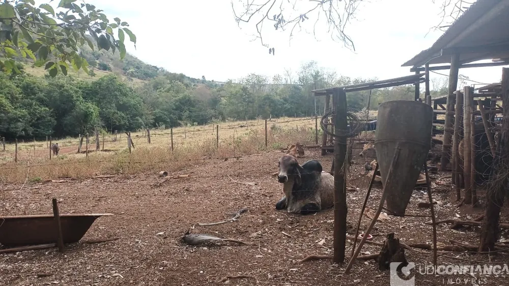 Fazenda - Foto 2