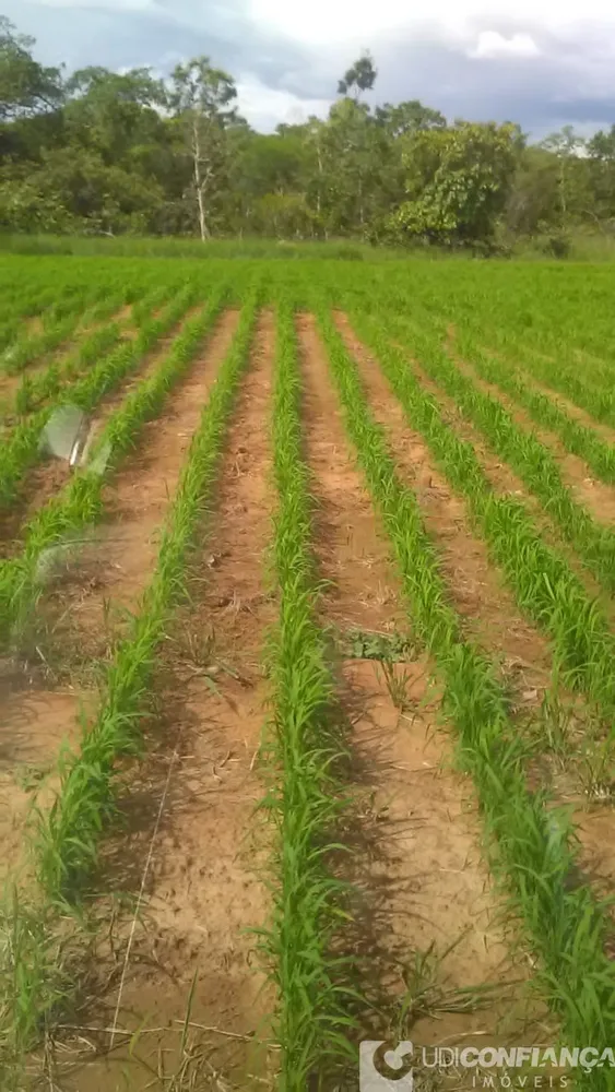 Fazenda - Foto 4
