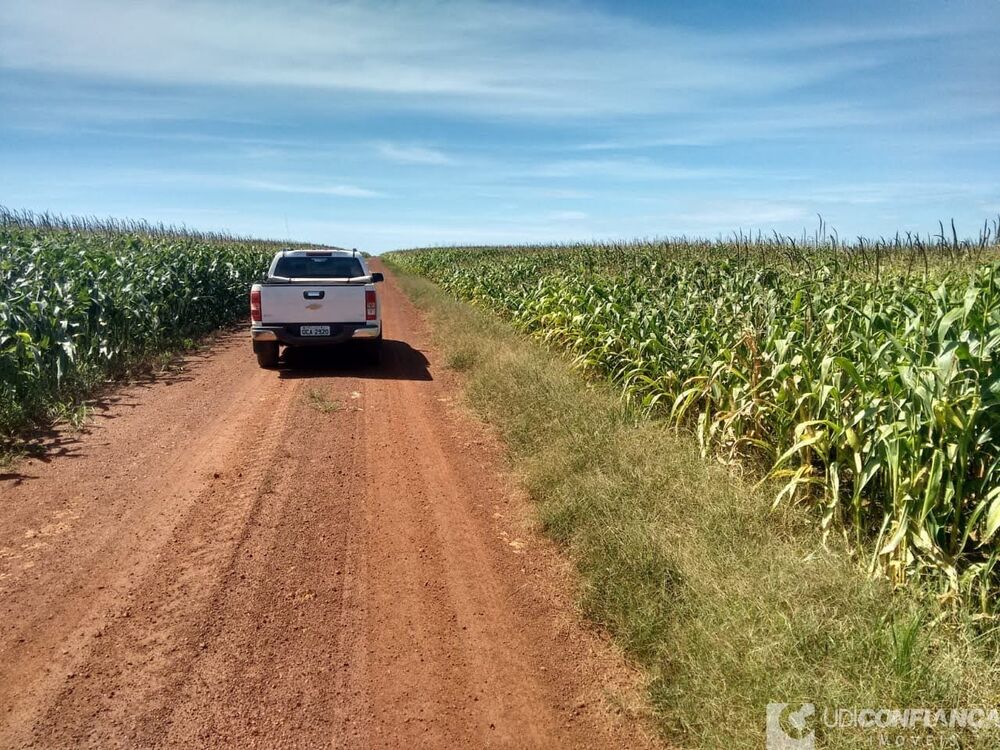 Fazenda à venda - Foto 4