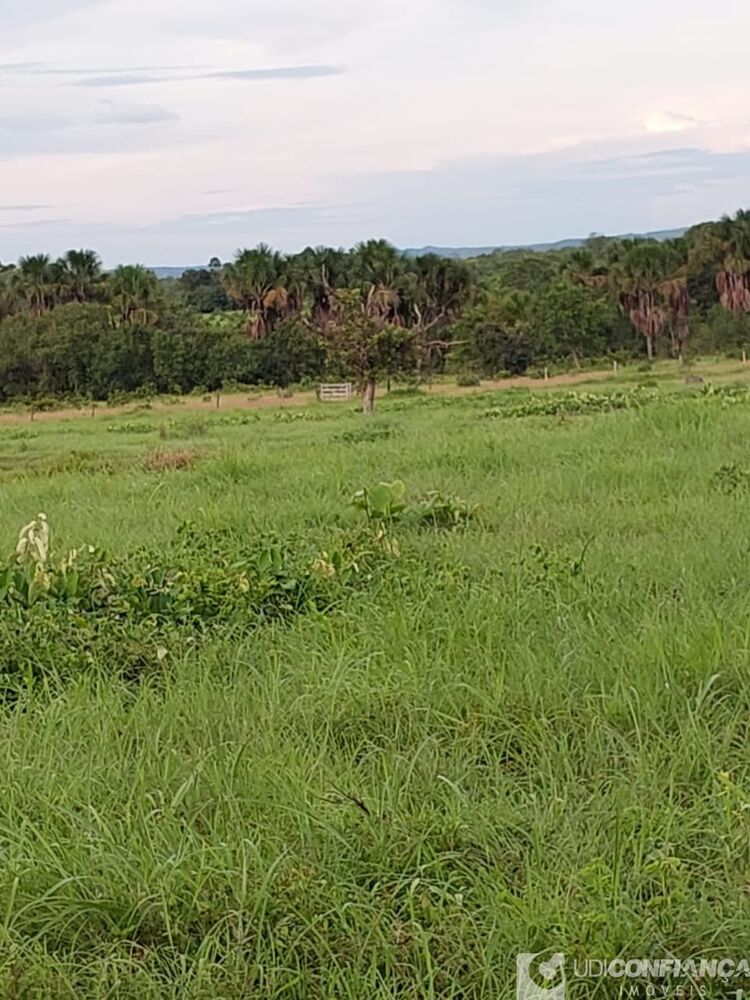 Fazenda à venda - Foto 20