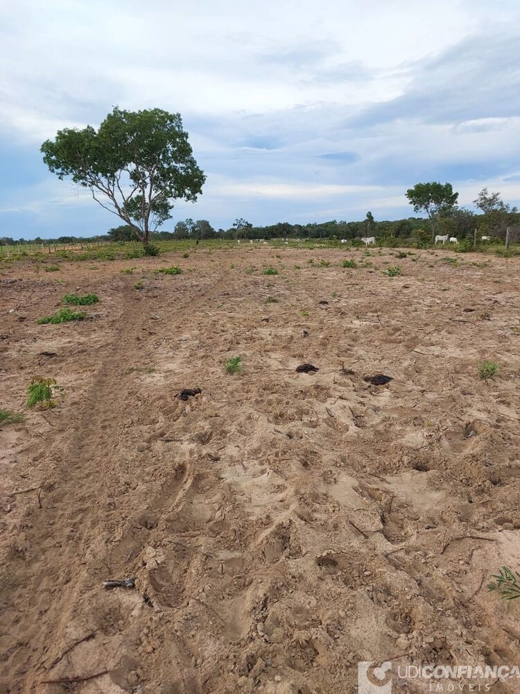 Fazenda à venda - Foto 10