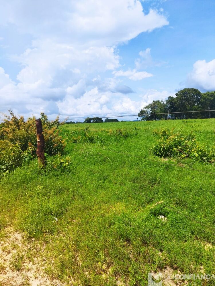 Fazenda à venda - Foto 13