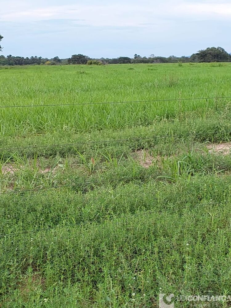 Fazenda à venda - Foto 18
