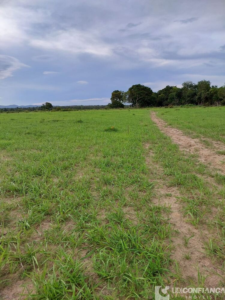 Fazenda à venda - Foto 28