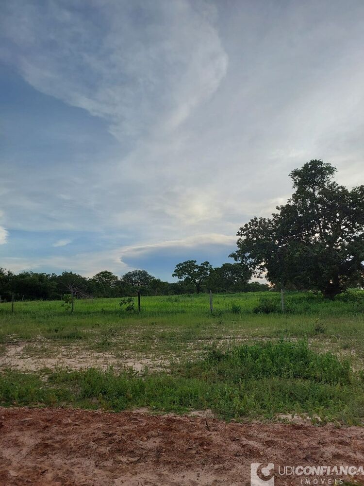 Fazenda à venda - Foto 11