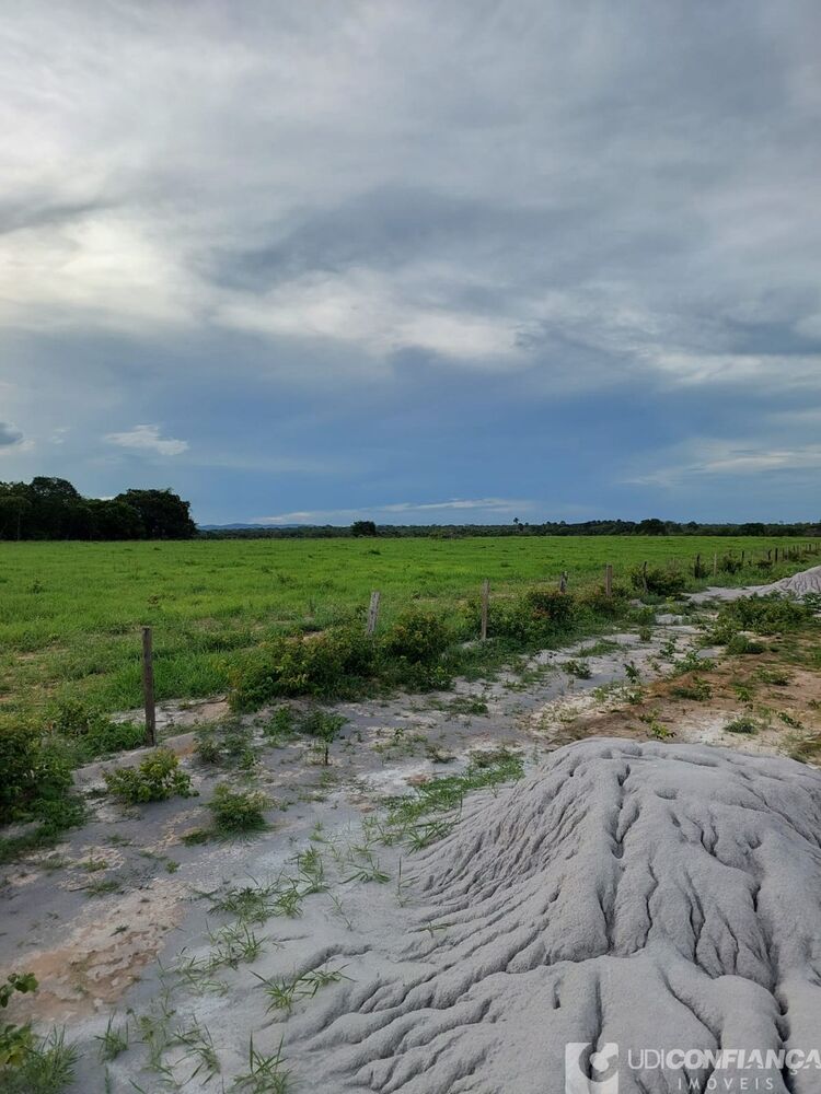 Fazenda à venda - Foto 8