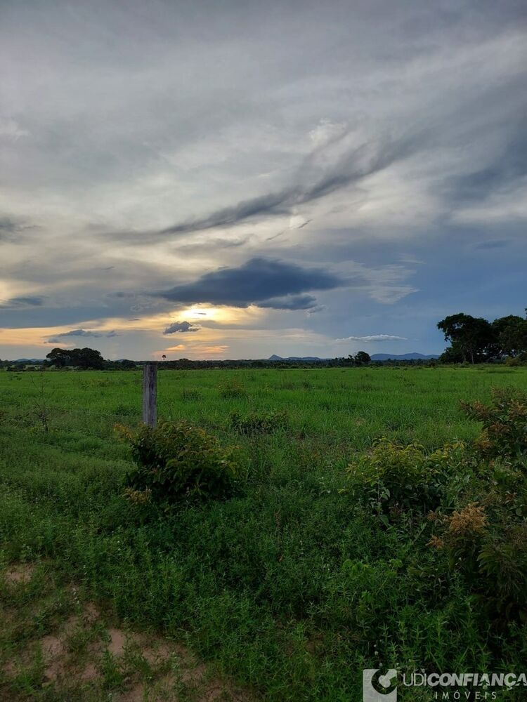 Fazenda à venda - Foto 7