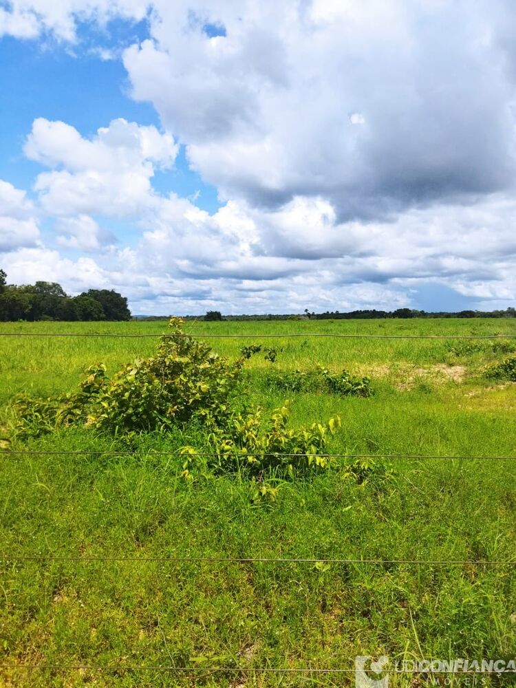 Fazenda à venda - Foto 15
