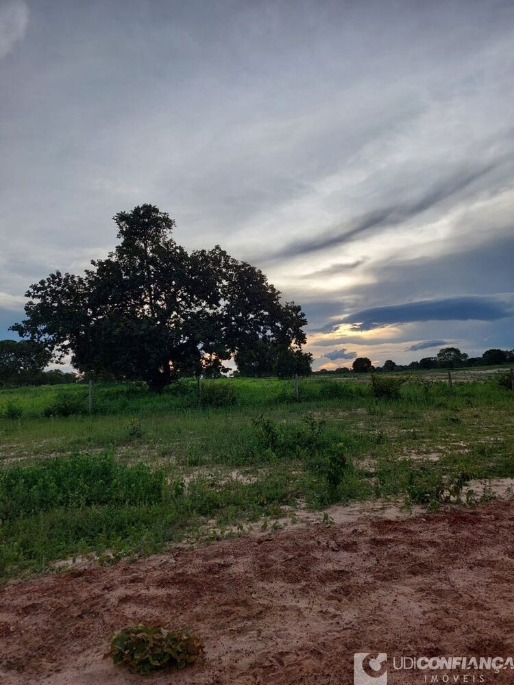 Fazenda à venda - Foto 9