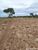 Fazenda-Sítio-Chácara - Foto 10
