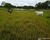 Fazenda-Sítio-Chácara - Foto 4